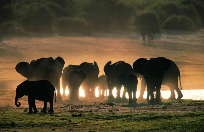 En güzel filin özeti