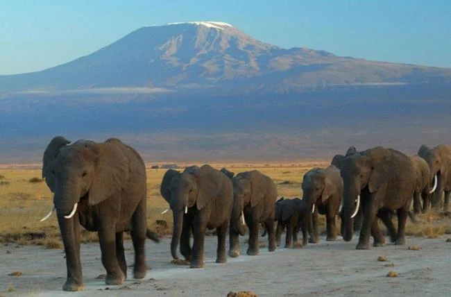 En güzel filin özeti