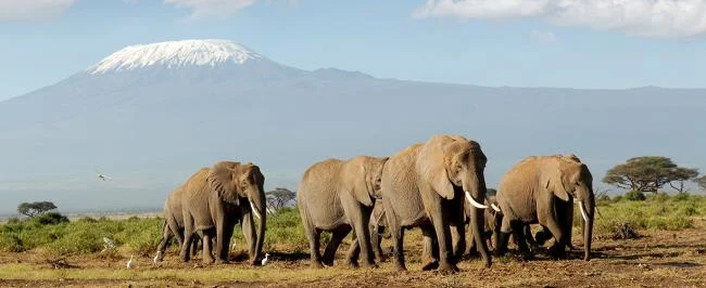 En güzel filin özeti