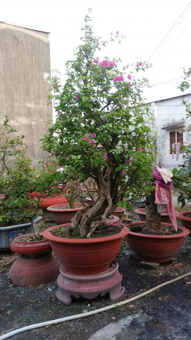 Koleksi halaman mewarnai Halloween untuk anak-anak