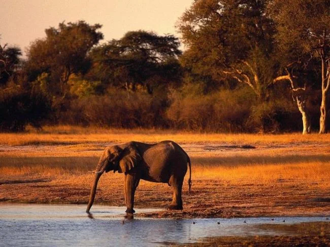 En güzel filin özeti