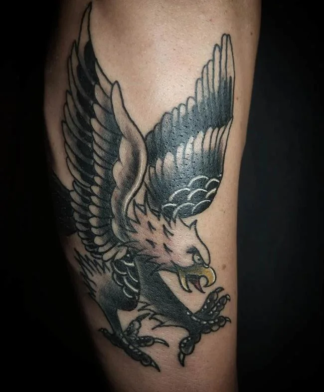 Colección de patrones de tatuajes de águila poderosos y poderosos