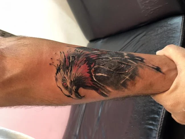 Colección de patrones de tatuajes de águila poderosos y poderosos