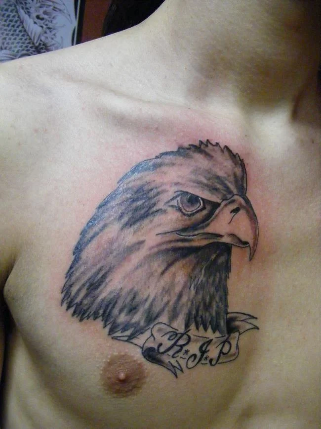 Colección de patrones de tatuajes de águila poderosos y poderosos