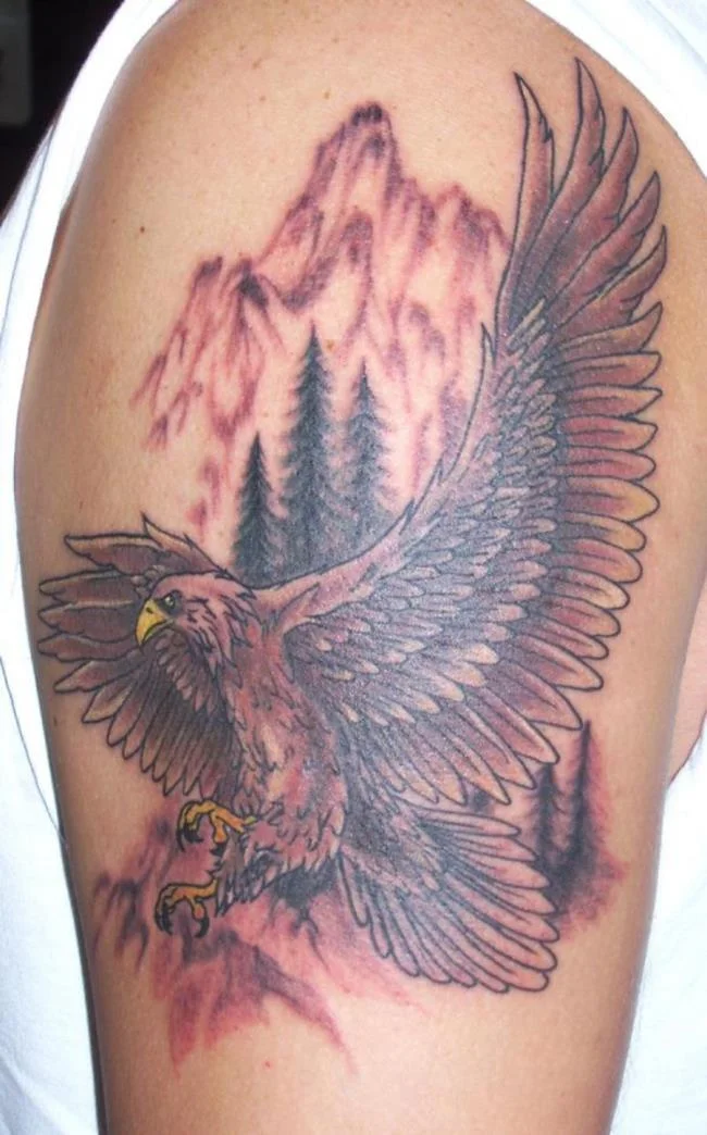 Colección de patrones de tatuajes de águila poderosos y poderosos