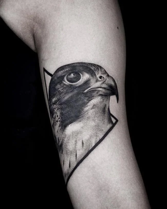 Colección de patrones de tatuajes de águila poderosos y poderosos