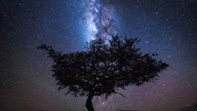 عکس هایی از آسمان شب زیبا و درخشان 