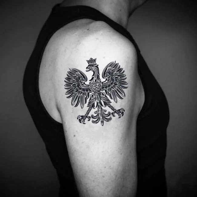 Colección de patrones de tatuajes de águila poderosos y poderosos