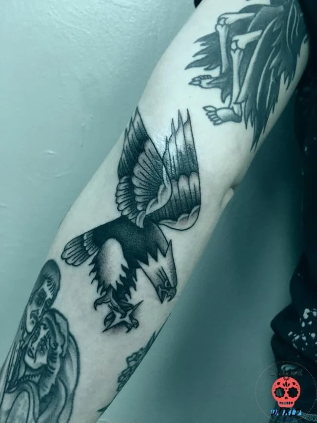 Colección de patrones de tatuajes de águila poderosos y poderosos