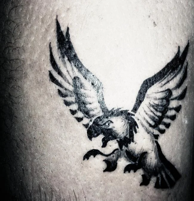 Colección de patrones de tatuajes de águila poderosos y poderosos
