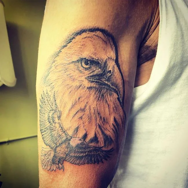 Colección de patrones de tatuajes de águila poderosos y poderosos