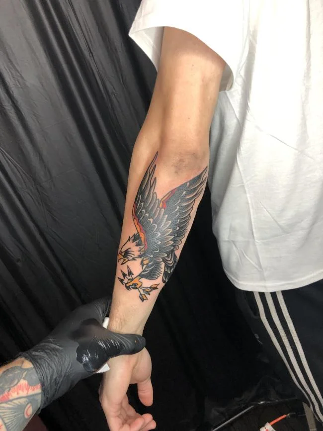 Colección de patrones de tatuajes de águila poderosos y poderosos