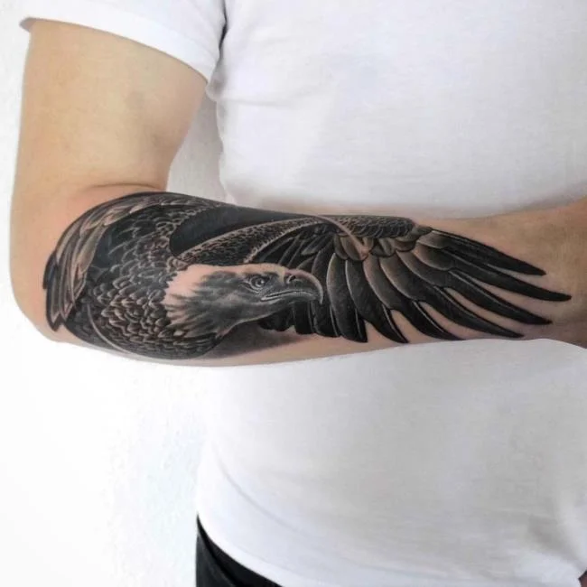Colección de patrones de tatuajes de águila poderosos y poderosos