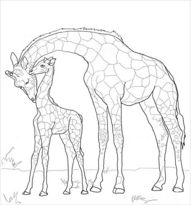 Koleksi gambar mewarnai jerapah terbaik untuk anak-anak