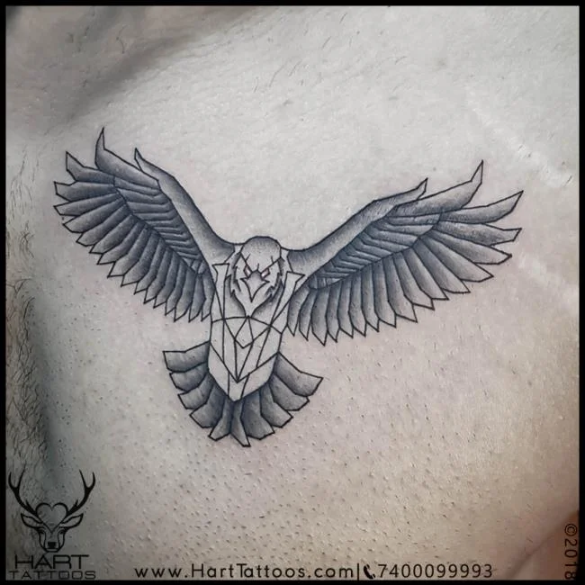 Colección de patrones de tatuajes de águila poderosos y poderosos
