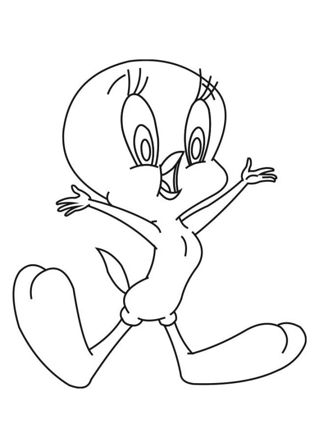 幼鳥最美麗的圖畫集