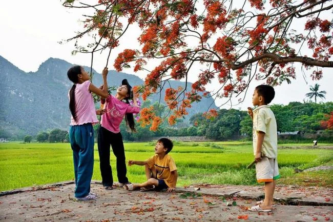Koleksi gambar musim panas yang paling indah