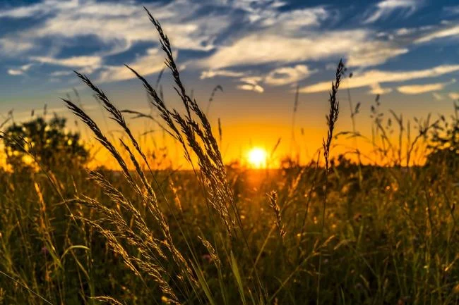 Koleksi gambar musim panas yang paling indah