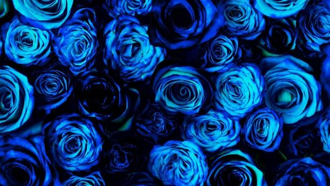 مجموعه ای از زیباترین تصاویر زمینه آبی