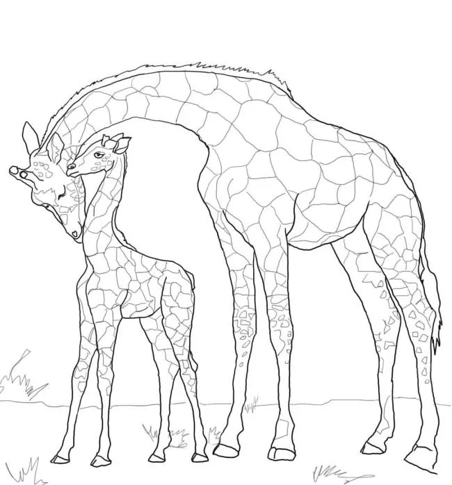 Koleksi gambar mewarnai jerapah terbaik untuk anak-anak