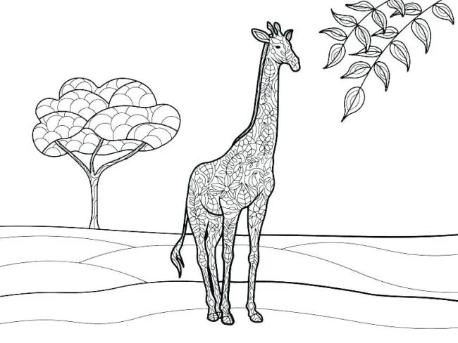 Koleksi gambar mewarnai jerapah terbaik untuk anak-anak