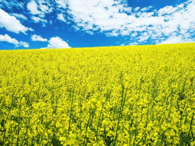 تصاویر زیبا از آسمان آبی کامل HD