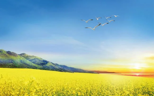 تصاویر زیبا از آسمان آبی کامل HD