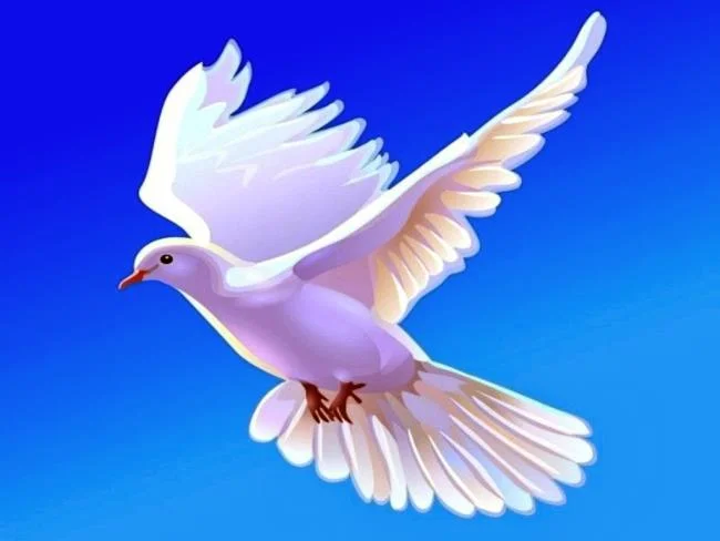 Gambar atas burung merpati paling indah di dunia