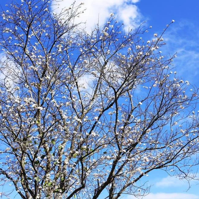 تصاویر زیبا از آسمان آبی کامل HD