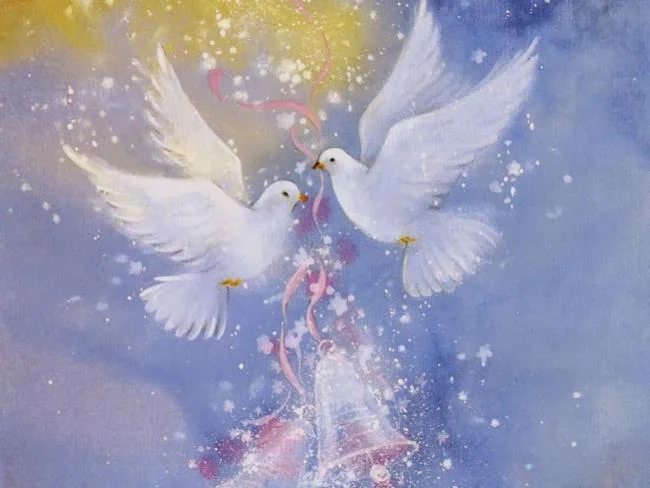 Gambar atas burung merpati paling indah di dunia