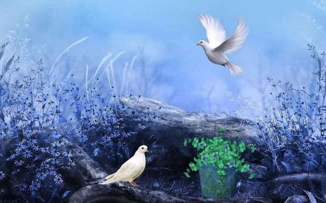 Gambar atas burung merpati paling indah di dunia