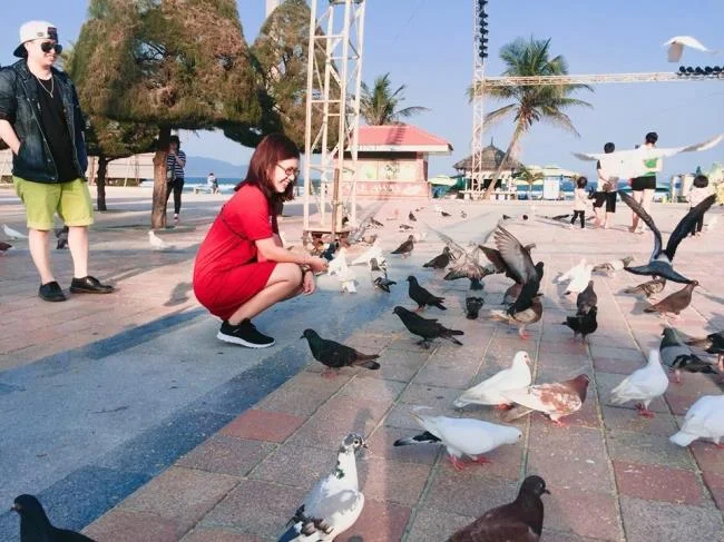 Gambar atas burung merpati paling indah di dunia