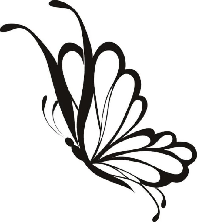 مجموعه رنگ آمیزی پروانه برای دختران