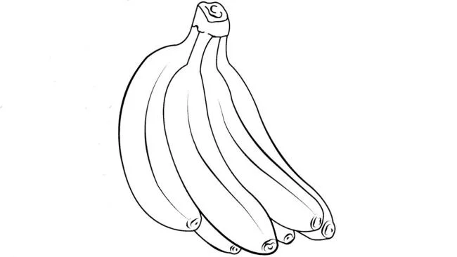 Collection des plus belles images de coloriage de banane