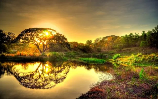 Koleksi kertas dinding 4K untuk komputer yang cantik