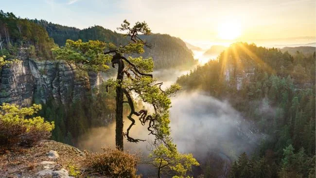 Koleksi kertas dinding 4K untuk komputer yang cantik