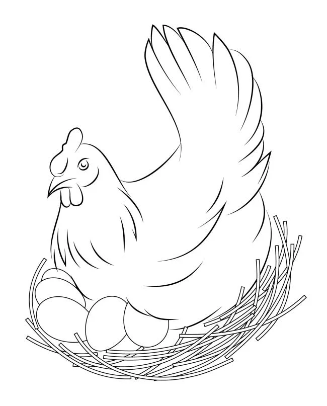 Ringkasan gambar pewarna yang indah untuk ayam bayi