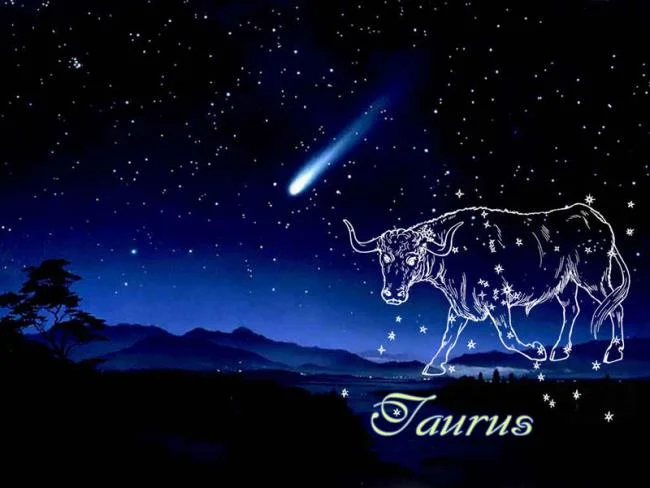 مجموعه ای از زیباترین تصاویر Taurus