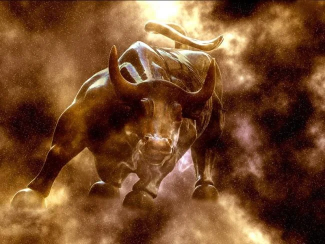 مجموعه ای از زیباترین تصاویر Taurus