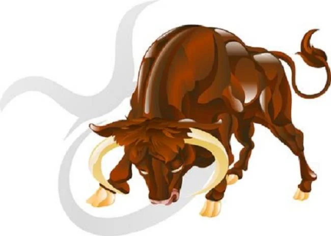 مجموعه ای از زیباترین تصاویر Taurus