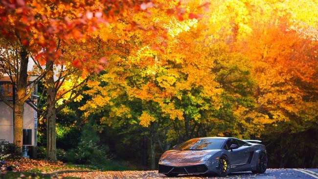 Koleksi wallpaper supercar Lamborghini yang paling indah