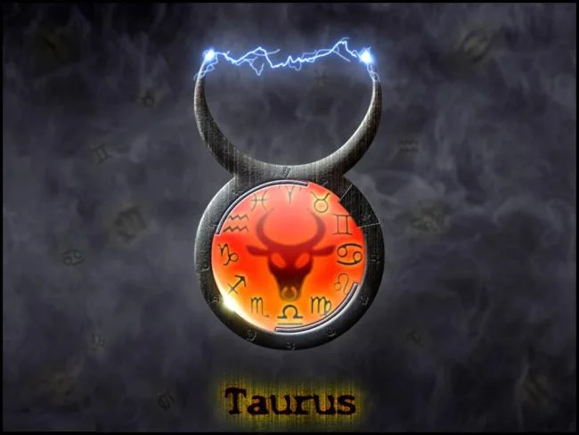 مجموعه ای از زیباترین تصاویر Taurus