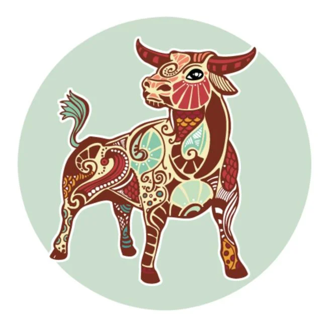 مجموعه ای از زیباترین تصاویر Taurus