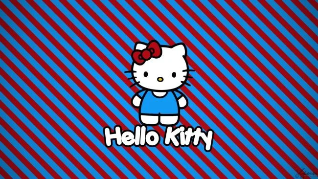 Gambar kucing comel kucing comel