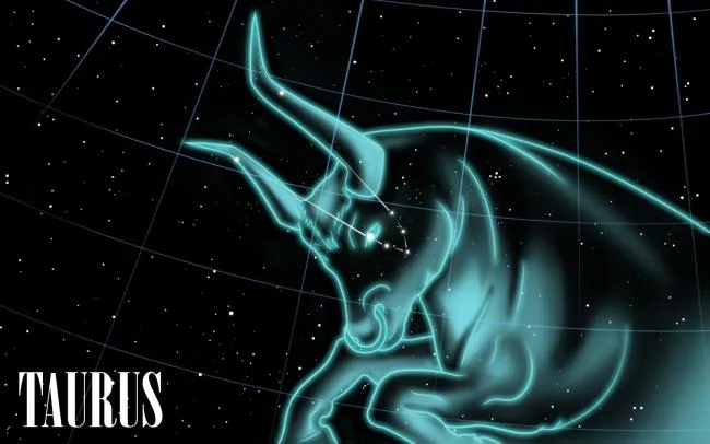 مجموعه ای از زیباترین تصاویر Taurus