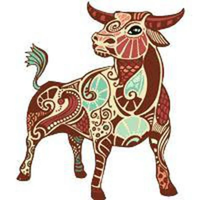 مجموعه ای از زیباترین تصاویر Taurus