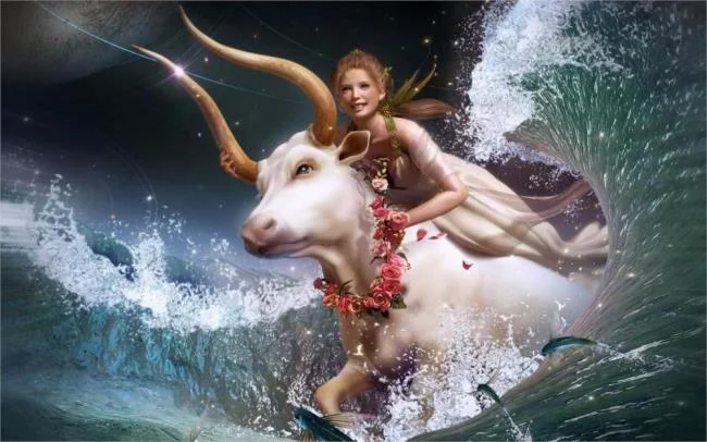 مجموعه ای از زیباترین تصاویر Taurus