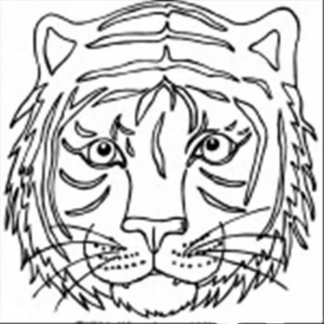 Collection of the most beautiful tiger coloring pictures