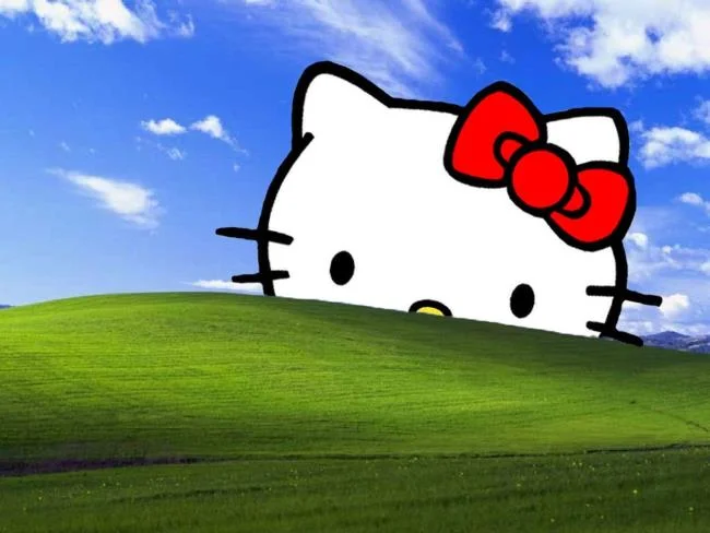 Gambar kucing comel kucing comel