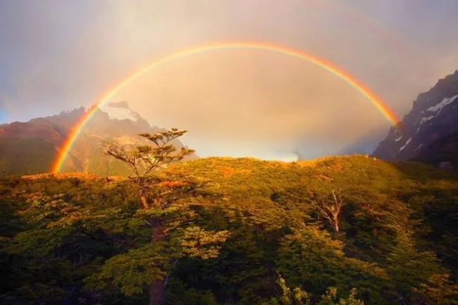 Colección de las imágenes de arcoíris más bellas